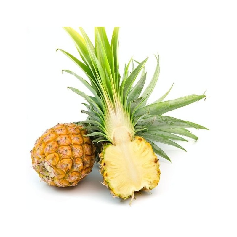 ananas minis SEBALA FRUITS